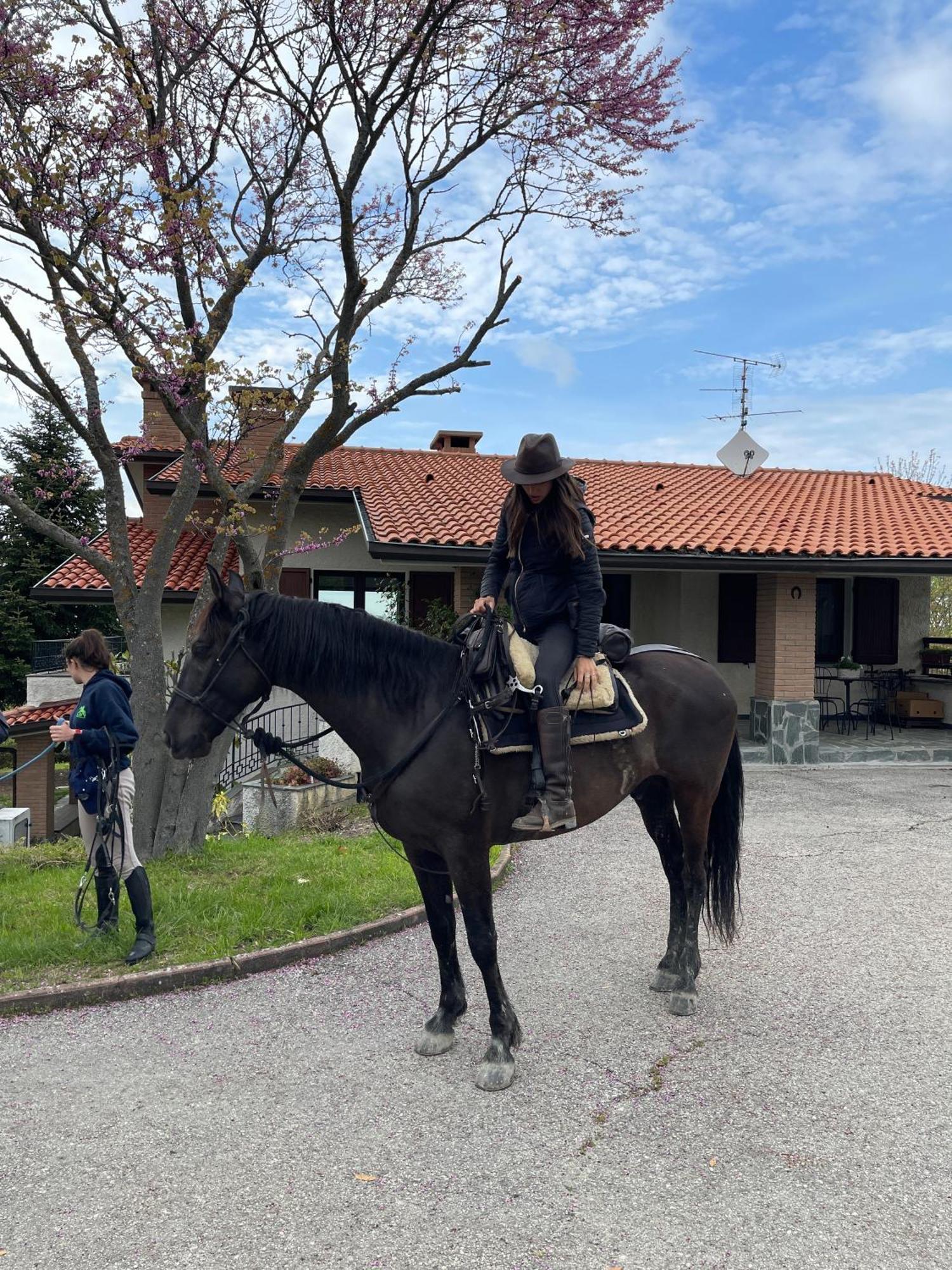 B&B Il Sentiero Dei Goti Monte Grimano Terme Exteriör bild
