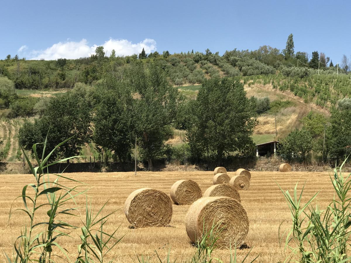 B&B Il Sentiero Dei Goti Monte Grimano Terme Exteriör bild